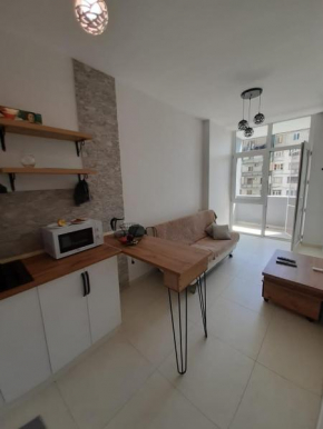 Cosy 1-bedroom apartment in Batumi